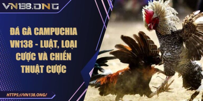 Đá Gà Campuchia VN138 - Luật, Loại Cược Và Chiến Thuật Cược 6 Đá Gà Campuchia VN138 - Luật, Loại Cược Và Chiến Thuật Cược