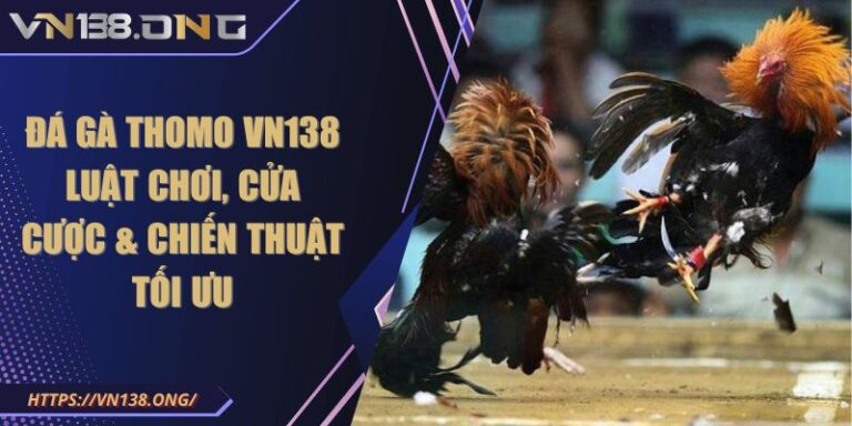 Đá Gà Thomo VN138 - Luật Chơi, Cửa Cược & Chiến Thuật Tối Ưu 7 Đá Gà Thomo VN138 - Luật Chơi, Cửa Cược & Chiến Thuật Tối Ưu