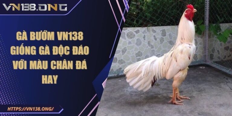 Gà Bướm VN138 - Giống Gà Độc Đáo Với Màu Chân Đá Hay 4 Gà Bướm VN138 - Giống Gà Độc Đáo Với Màu Chân Đá Hay