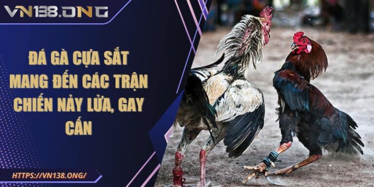 Đá gà cựa sắt mang đến các trận chiến nảy lửa, gay cấn  10 da ga cua sat