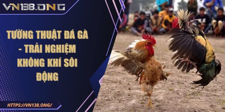 Tường thuật đá gà - Trải nghiệm không khí sôi động  9 tuong thuat da ga