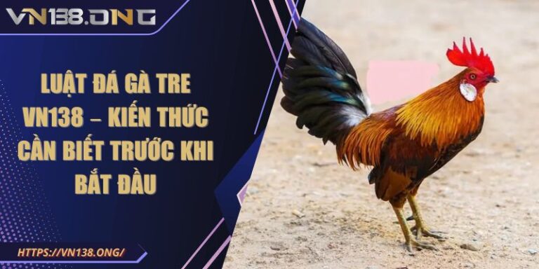 Luật đá gà tre VN138 – Kiến Thức Cần Biết Trước Khi Bắt Đầu 5 Luật đá gà tre VN138